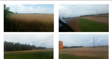 Hermosa Propiedad En Colonia Yguazu!!