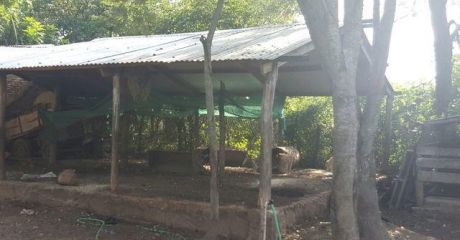 En Venta Propiedad Rural En Luque