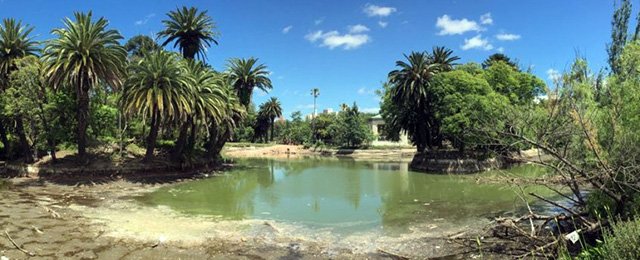 El Parque Rodó en plena renovación
