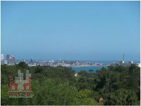 Apartamentos En Playa Mansa
