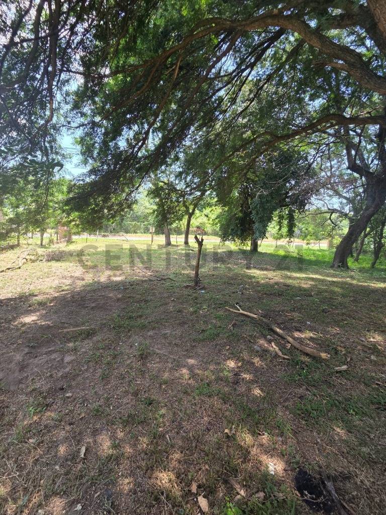 Venta de Terreno en Luque, Central | ID: 45107 — foto 2