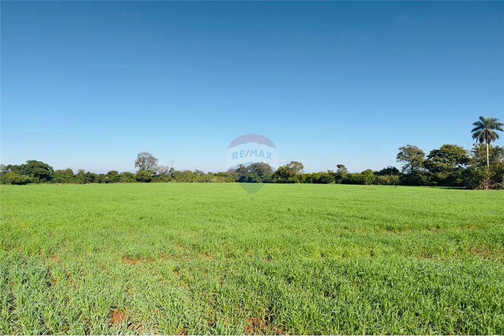 TERRENO EN VENTA - BARRIO SAN BLAS INDEPENDENCIA — foto 2