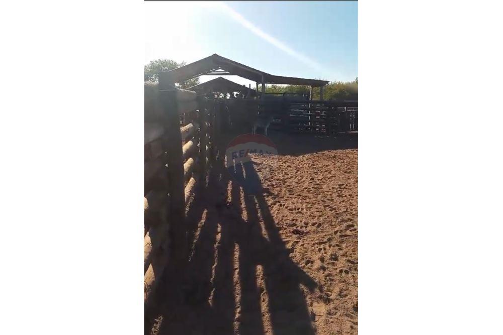 VENDO ESTANCIA EN PDTE.HAYES-TTE. ESTEBAN MARTINEZ — foto 2