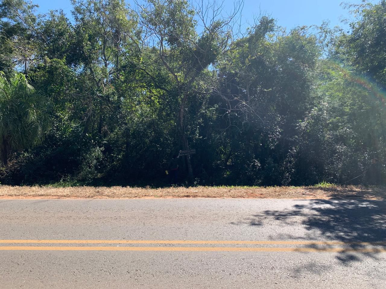 PIRIBEBUY, RUTA GRAL. ROGELIO BENÍTEZ, EN VENTA LOTE DE 4.969 M2 — foto 3