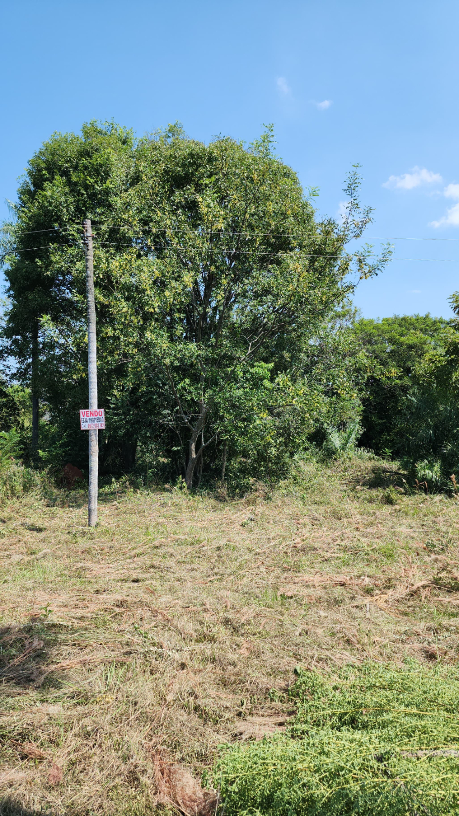 Vendo Terreno En Paraguari, Caacupe Y Limpio — foto 2