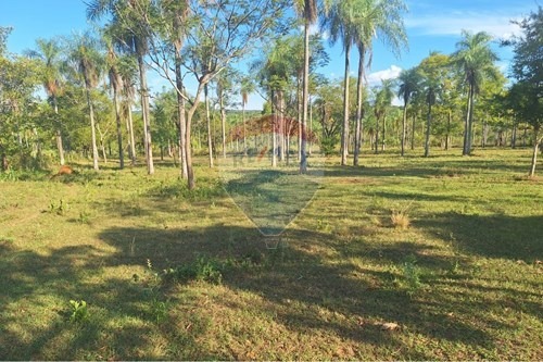 VENDO TERRENO DE 1 HECTÁREA MEDIA EN ALTOS!!!! — foto 3