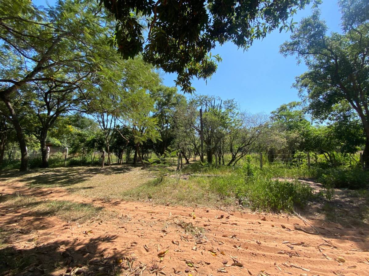 EN VENTA TERRENO EN SAN BERNARDINO CIERVO CUA — foto 3
