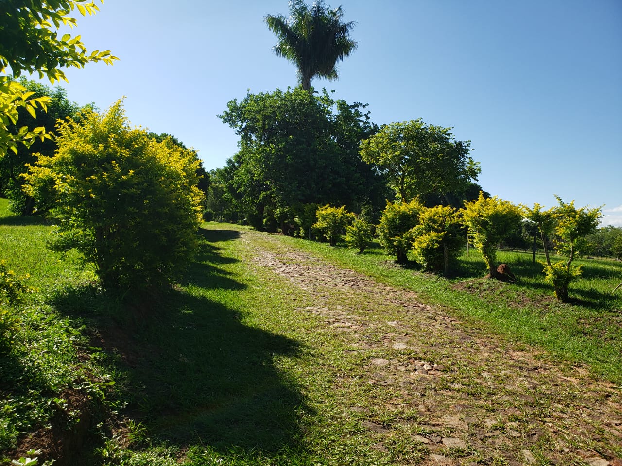 En Venta Propiedad Rural En Arroyos Y Esteros — foto 3