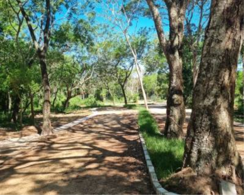 VENDO Terreno en Piedras Blancas - San Bernardino — foto 3