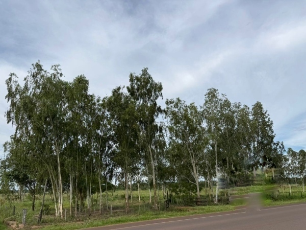 VENDO IMPORTANTE PROPIEDAD DE 1,1 HECTÁREA SOBRE RUTA 5 — foto 3
