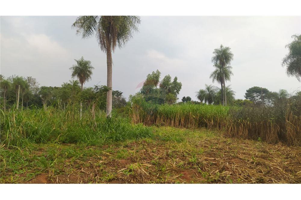 EN OFERTA TERRENO DE 9.000 M2- YAGUARON — foto 3