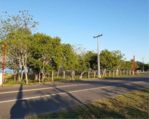 VENDO TERRENO SOBRE EL LAGO EN SAN BERNARDINO — foto 2
