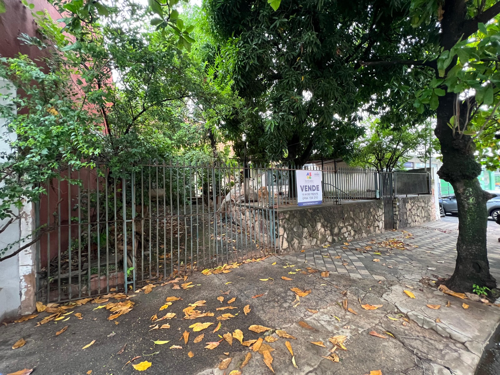 VENDO PROPIEDAD SOBRE JULIO CORREA, ZONA DE ALTO TRANSITO. — foto 2
