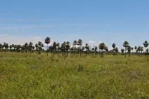 Terreno en venta en Villa Hayes — foto 2
