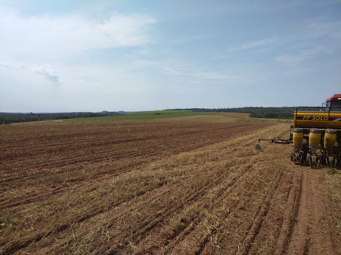 Vendo Establecimiento Rural de 1.500 Hectáreas en Alto Verá, Itapúa-CLCS7428703 — foto 3
