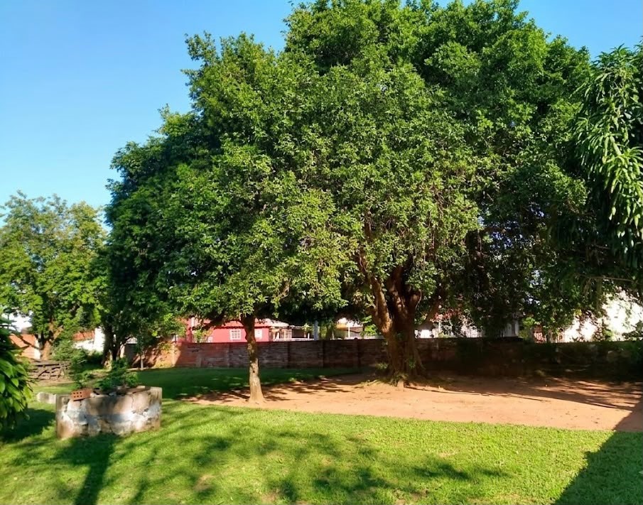 EN VENTA - Terreno de 339 m2 en San Estanislao, Santani — foto 2