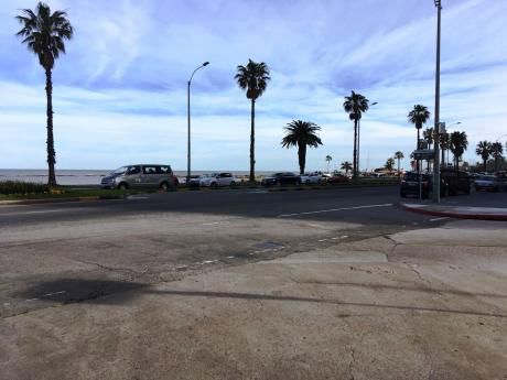 Proximo A Rambla De Punta Carretas - Excelente!!!