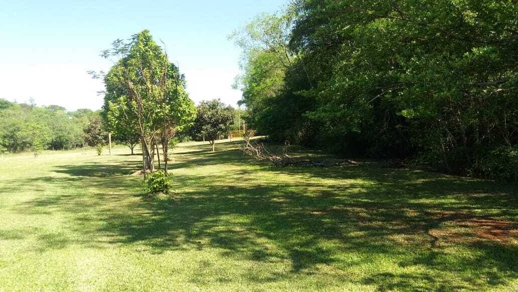 VENDO TERRENO DE 25 HECTÁREAS — foto 2