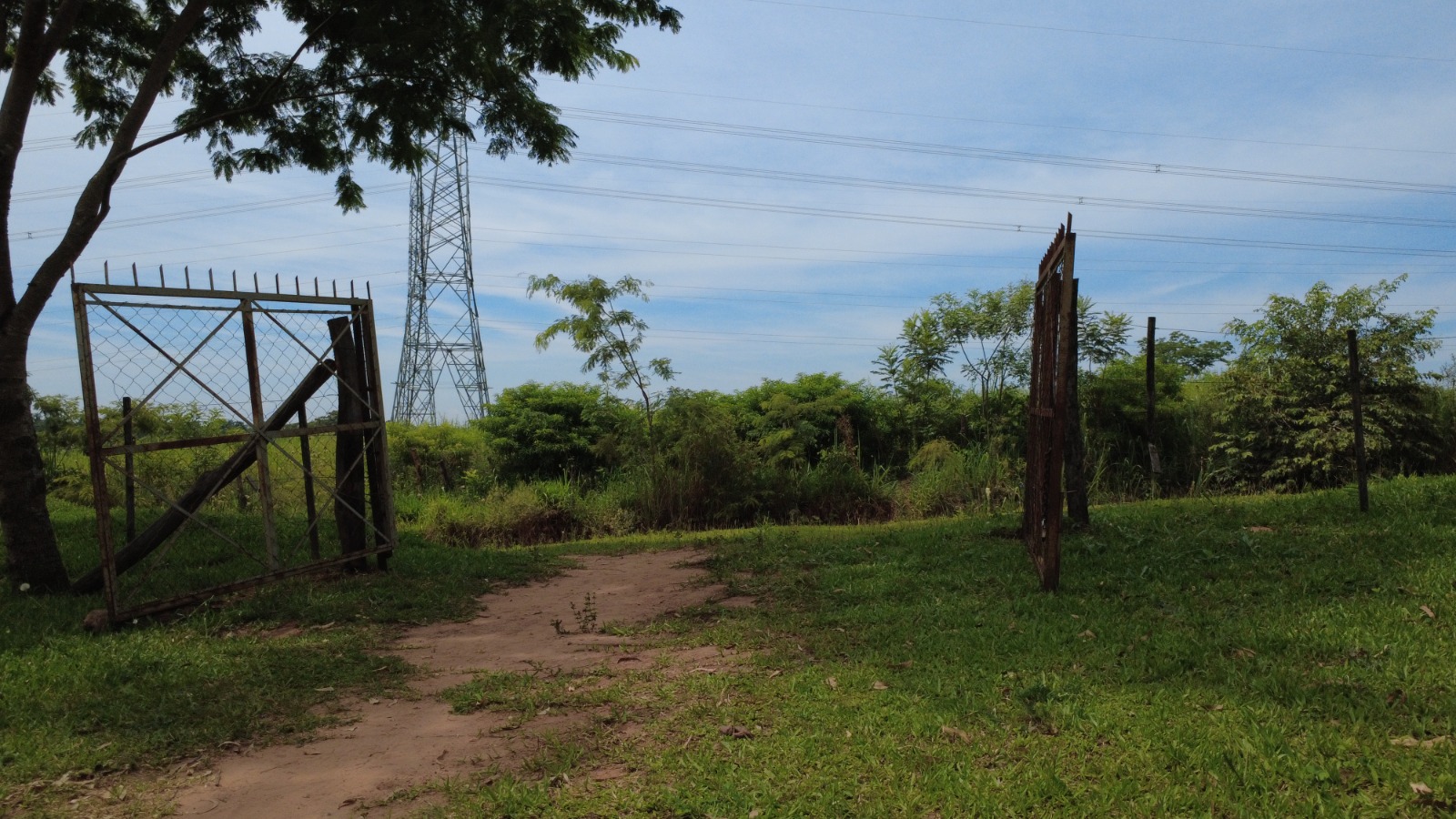 EN VENTA CAMPO DE 20 HECTAREAS EN CAAGUAZU  CON INFRAESTRUCTURA — foto 2