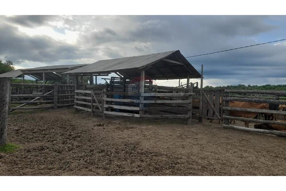 VENDO ESTANCIA FORMADA EN POZO COLORADO PRESIDENTE HAYES — foto 2