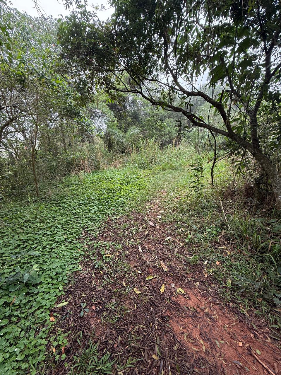 EN VENTA AMPLIA PROPIEDAD EN ITACURUBI DE LA CORDILLERA — foto 2