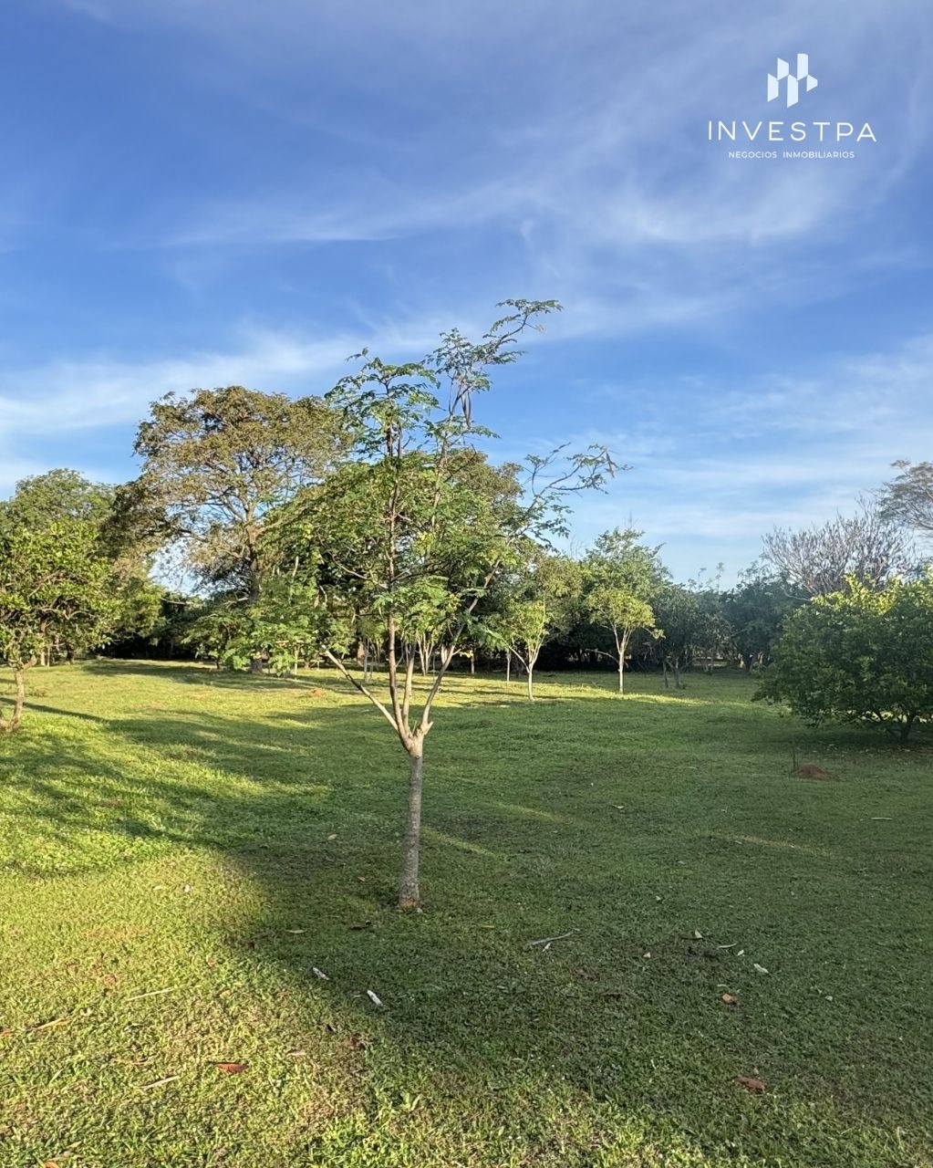 Emboscada - Quinta privada y rentable para retiros en paraguay — foto 2