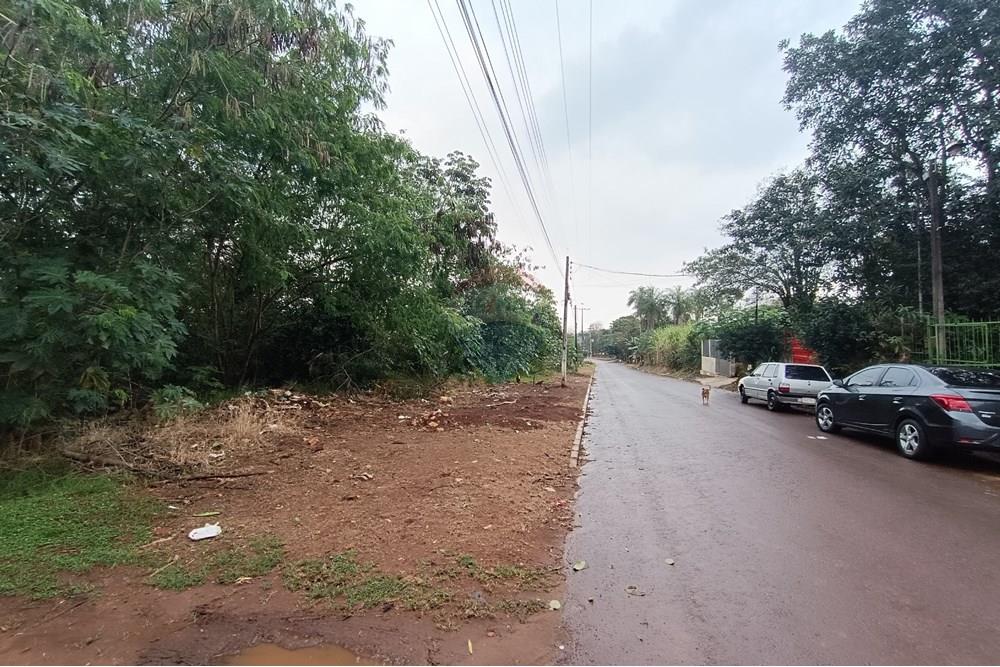 VENDO TERRENO EN PRESIDENTE FRANCO 5.000 M2 — foto 2