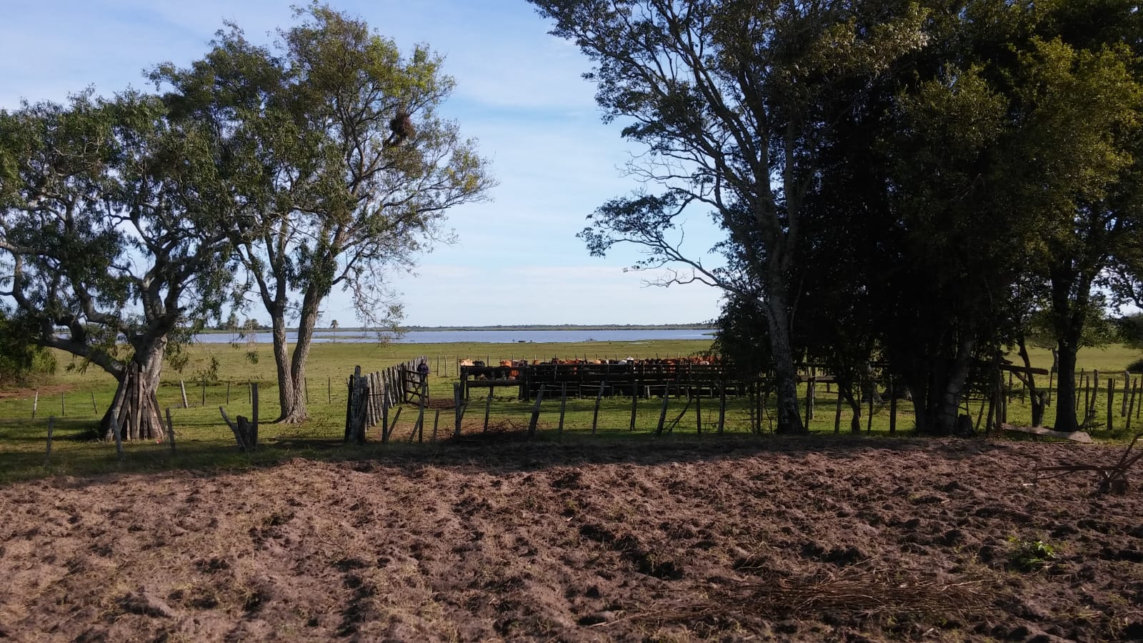 En Venta 411 Hectáreas en Estero kamba/ Ñeembucu — foto 2