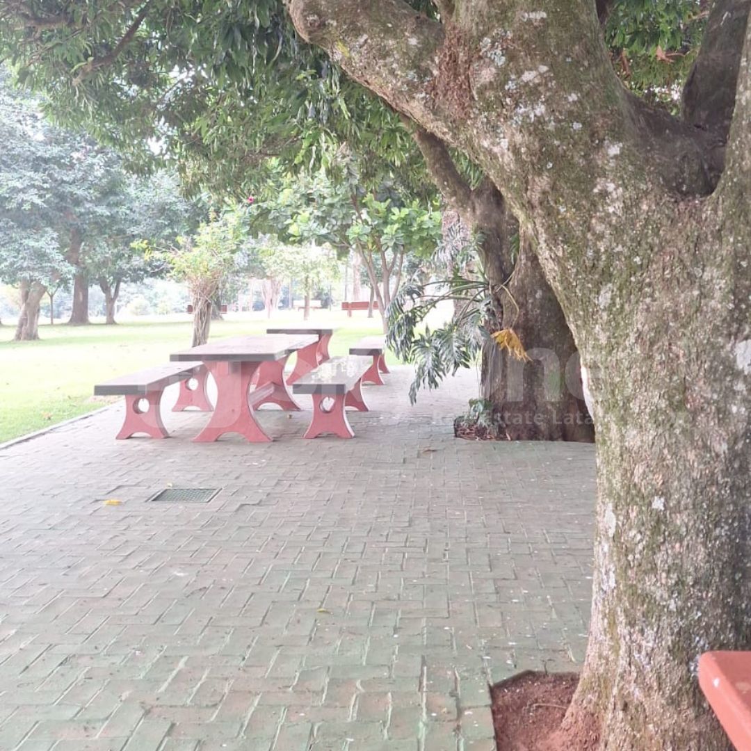 VENDO PROPIEDAD RURAL EN HERNANDARIAS — foto 2