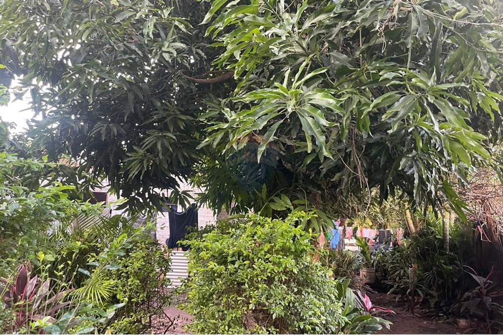 Terreno - Venta - Paraguay Central San Lorenzo — foto 2
