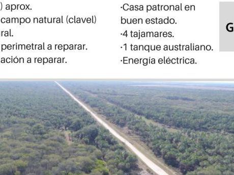 Vendo 600 Has. Ruta 12 - Fortín Caballero!