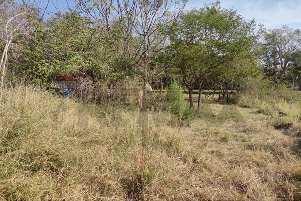 TERRENO A METROS DE PUERTA DEL LAGO SAN BER — foto 2