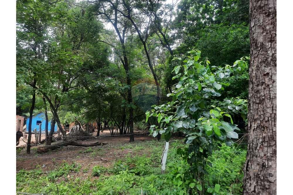 Oportunidad única de terreno San Bernardino — foto 3