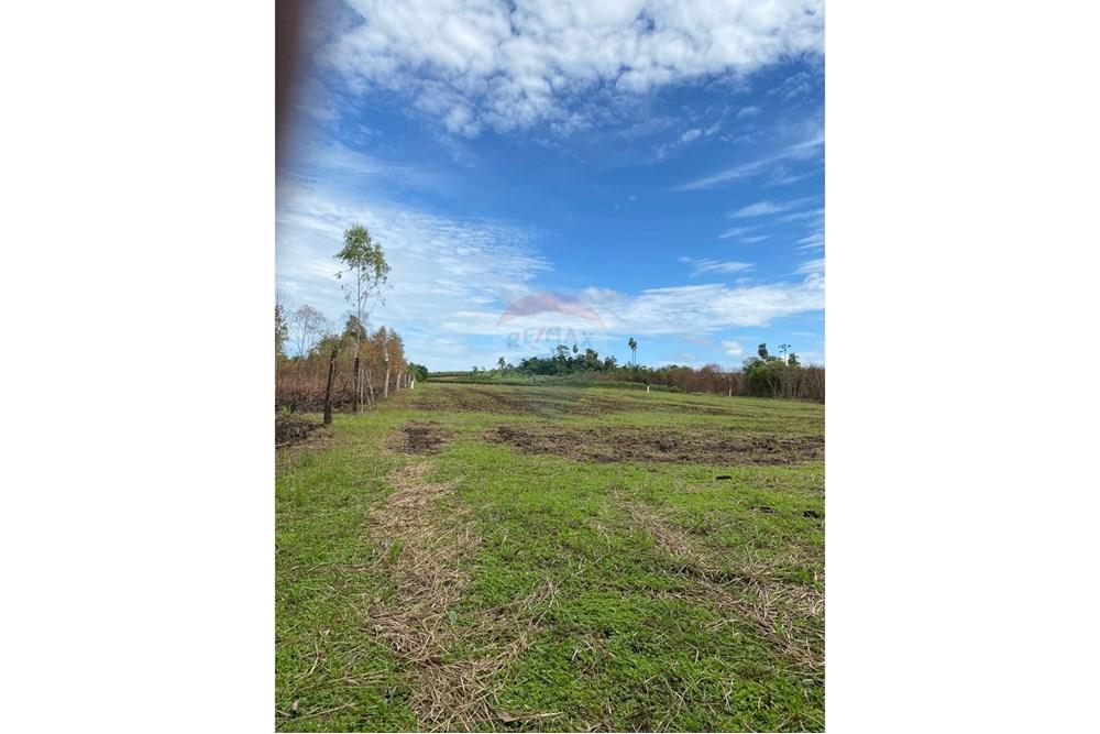 Invierte en Finca Agrícola en Minga Guazú Hoy — foto 2