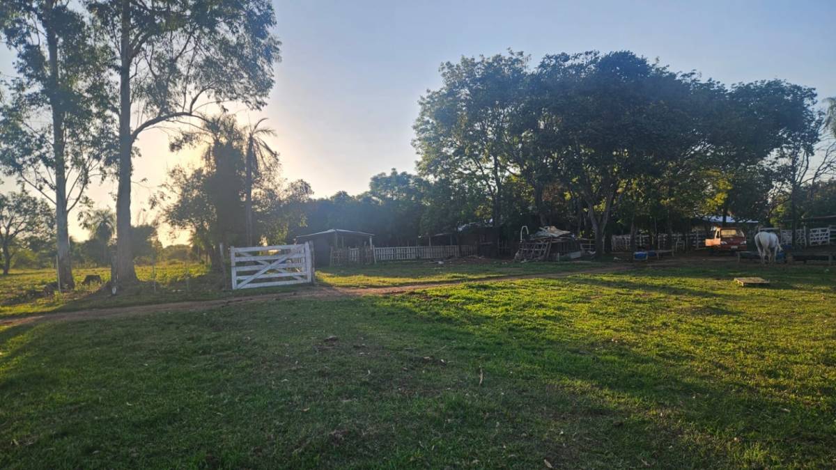 Venta de Rancho Hebrón – 30 Hectáreas Productivas en Compañía Entre Ríos, Ybycuí — foto 3