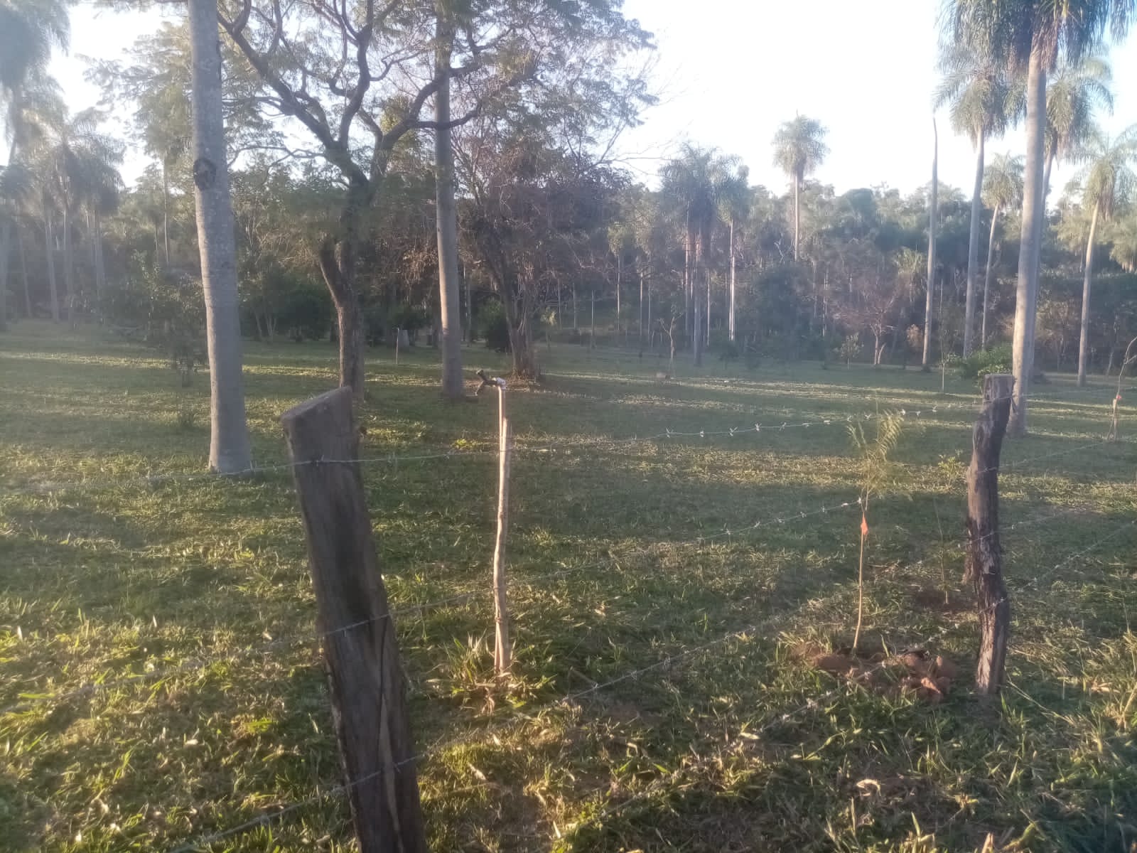 Vendo Terreno En Altos — foto 2