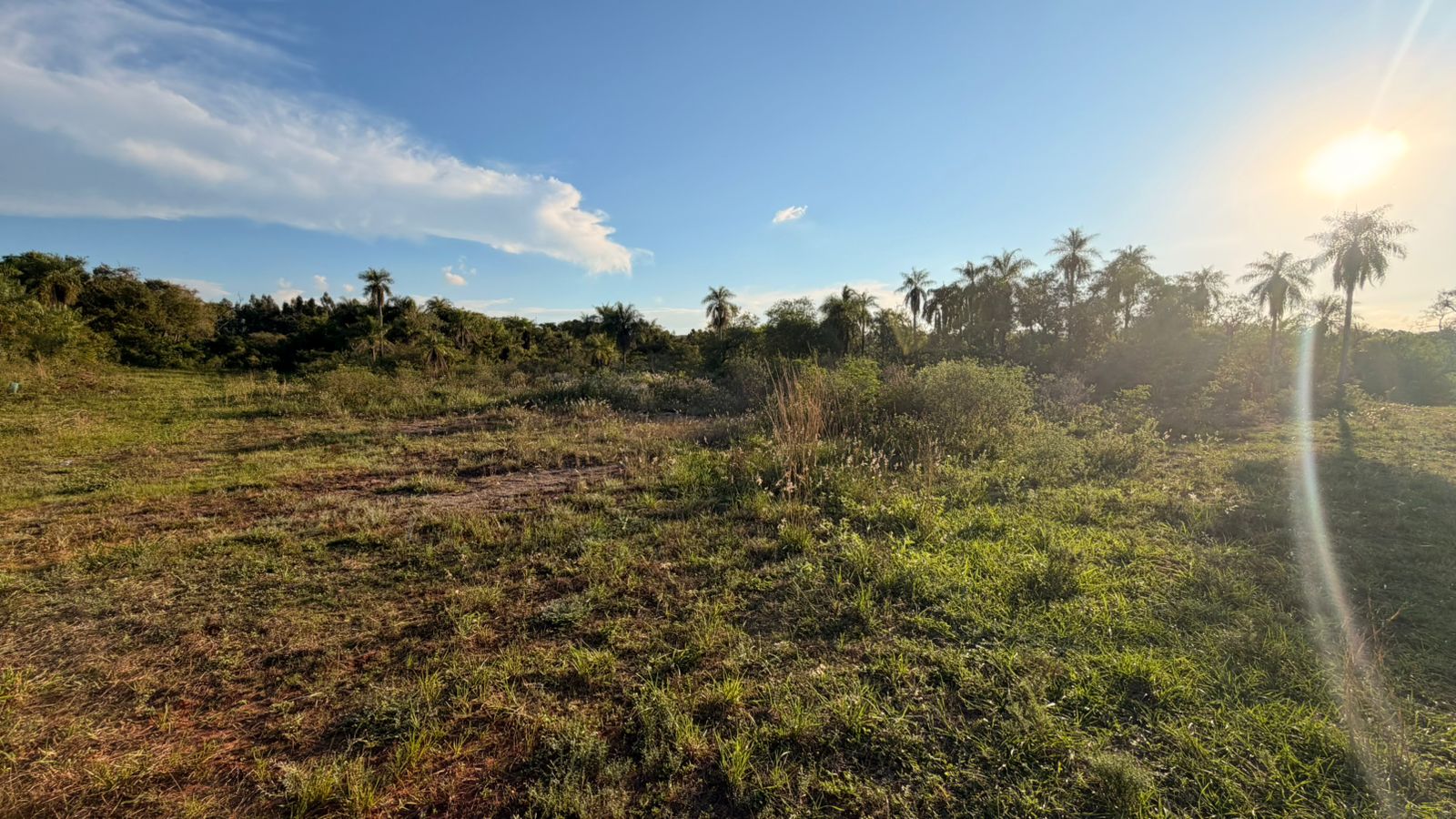 TERRENO EN OFERTA - PIRIBEBUY — foto 2