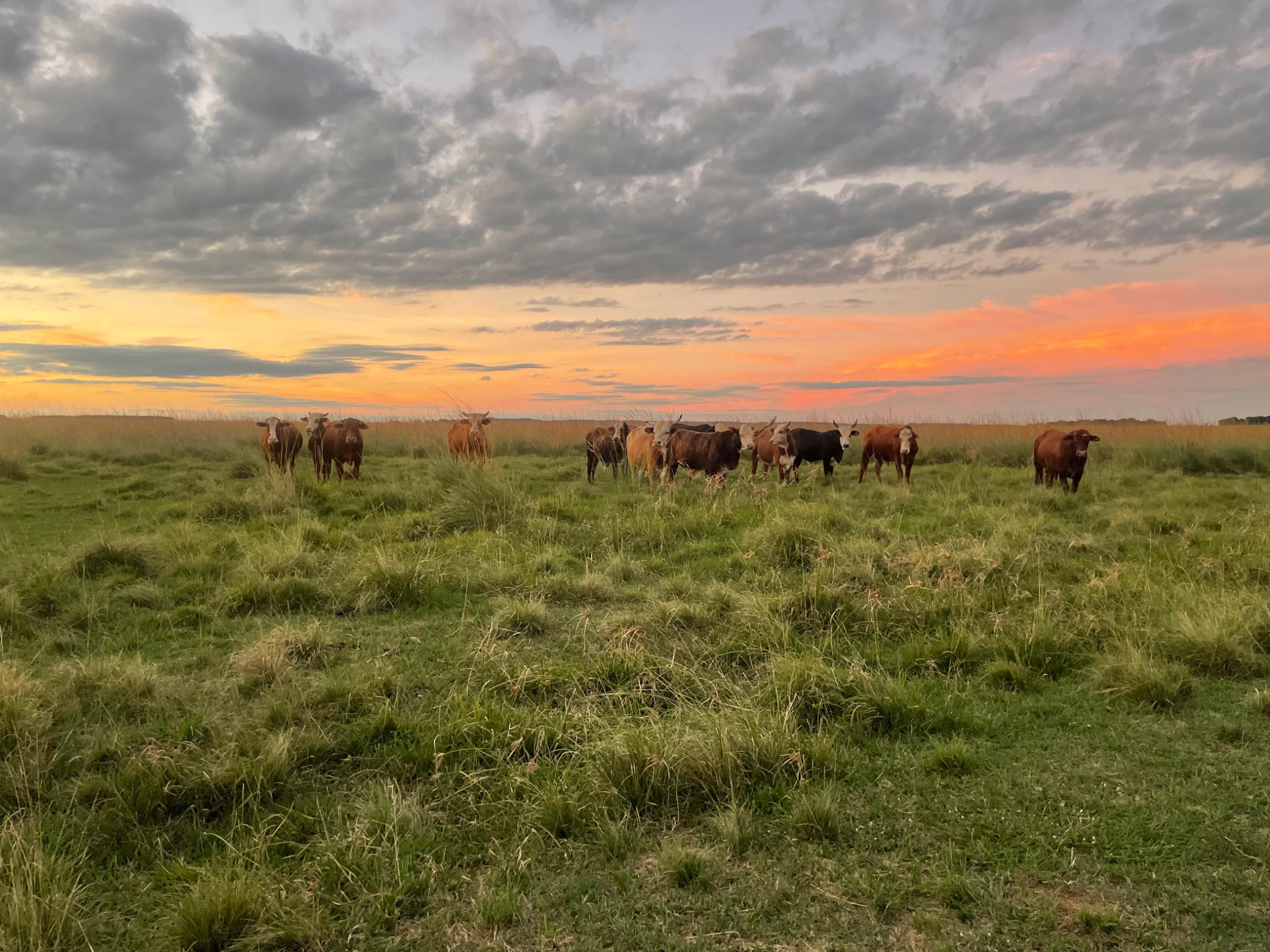 Vendo 2,217 hectáreas en Misiones — foto 2