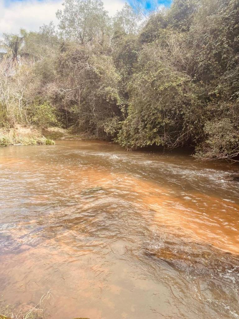 EN VENTA 40 HECTAREAS EN YBYCUI — foto 3