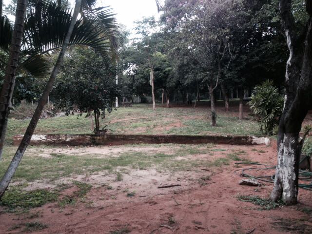 29 $M2 EN LIMPIO SOBRE RUTA 3 PROP 32.168M2 — foto 2