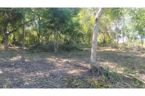 En venta 2 terrenos en Loma Grande - Agua-Y — foto 3
