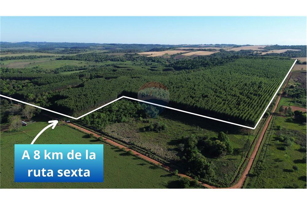 En Venta - Terreno -Trinidad, Itapúa, Paraguay — foto 3