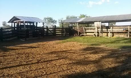 Vendo 850 Hectarias En Itacurubi Del Rosario.