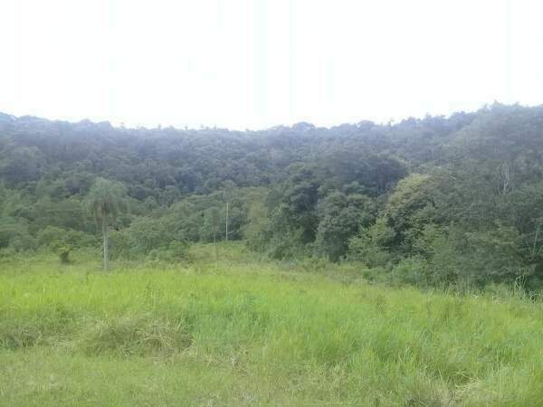 EN VENTA PROPIEDAD DE 41 HAS CON ARROYOS — foto 2