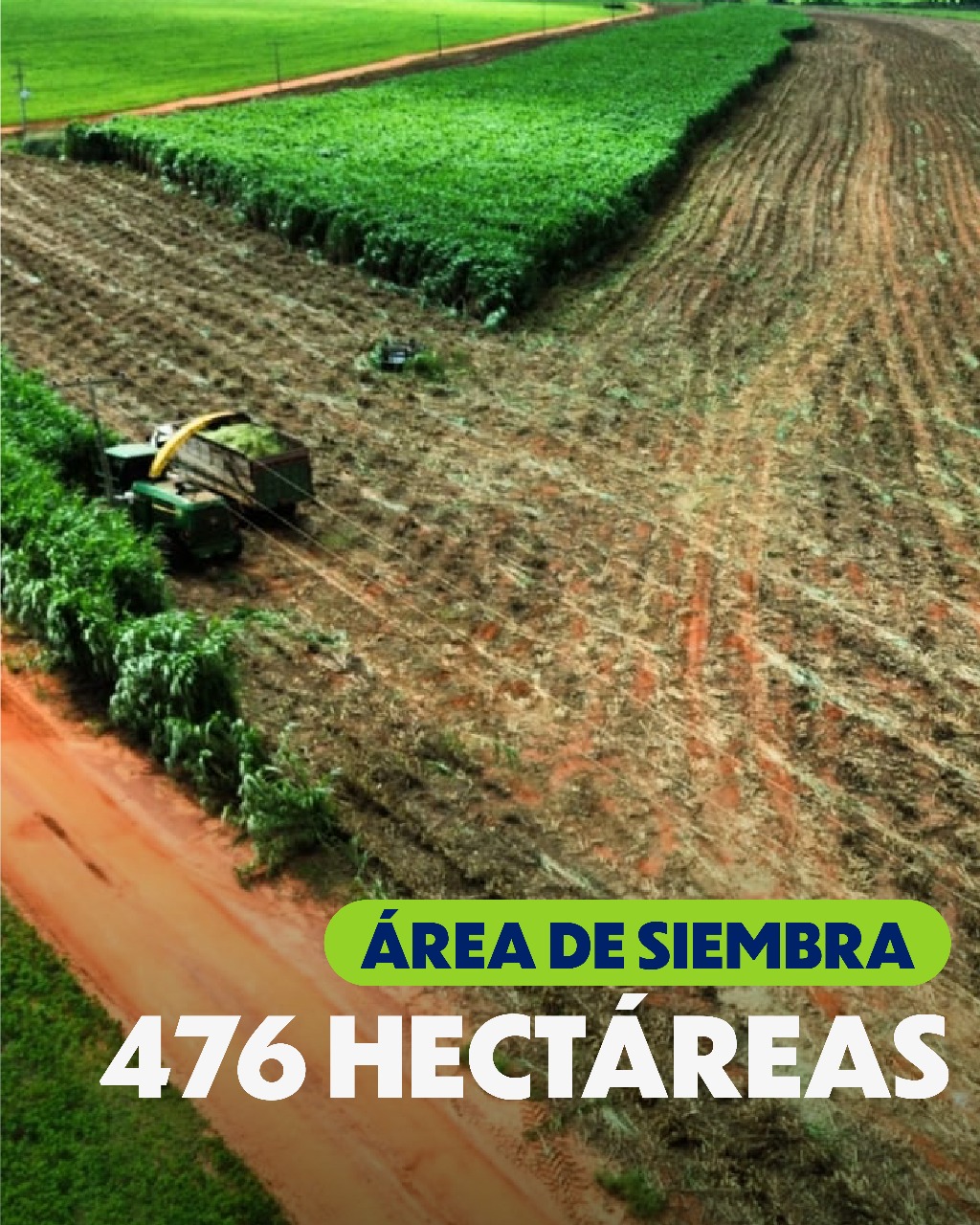 Vendo Propiedad Agrícola de 530 Hectáreas en San Pedro - CLCS7640832 — foto 3