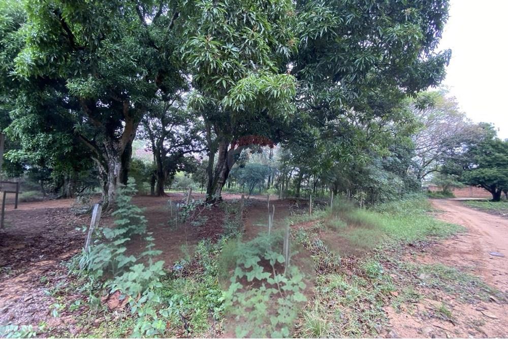 Terreno - Venta - San Bernardino, Paraguay, Inversión! — foto 2