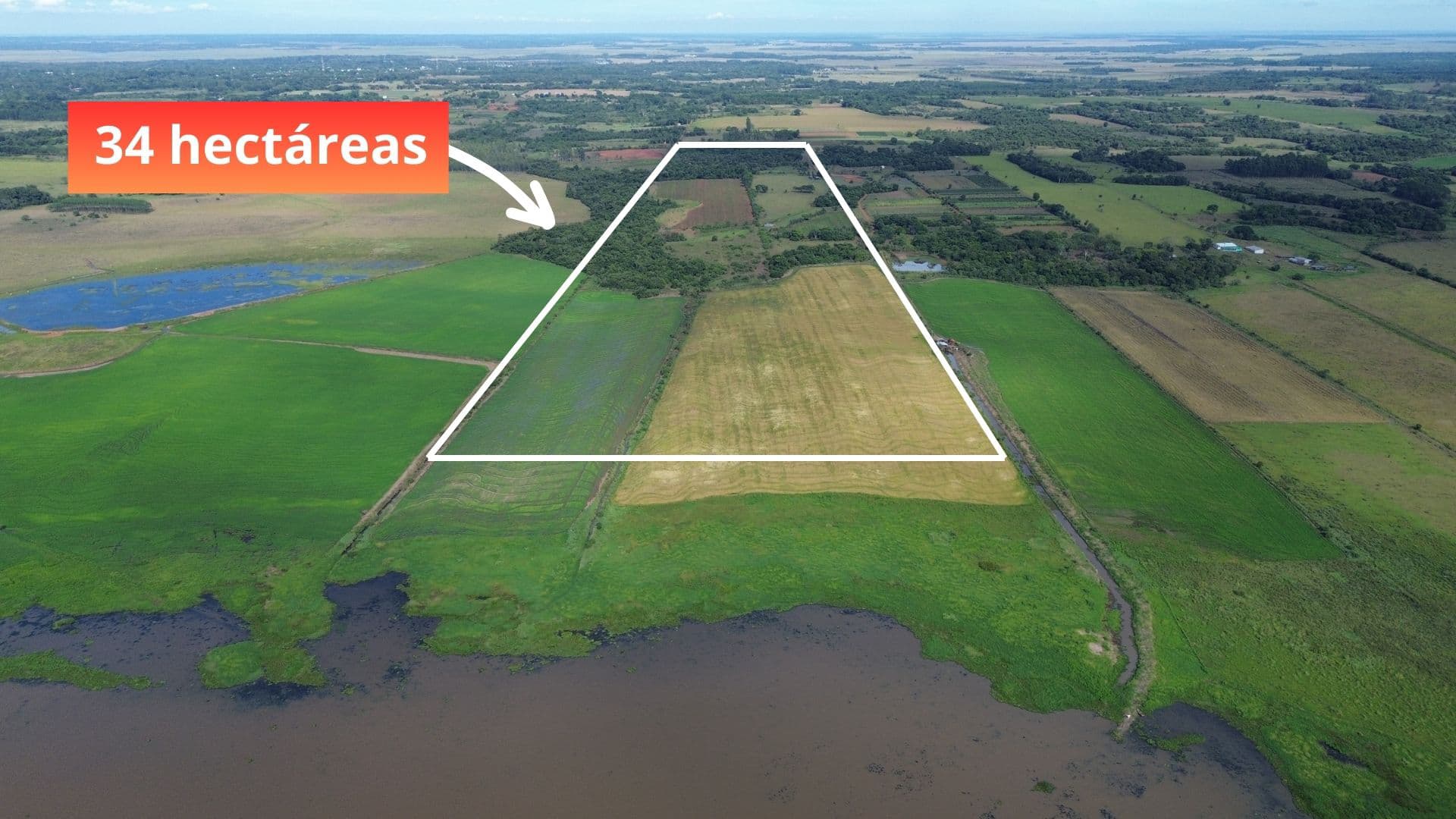 Espectacular Campo a la Venta de 34 Has – Coronel Bogado. — foto 3