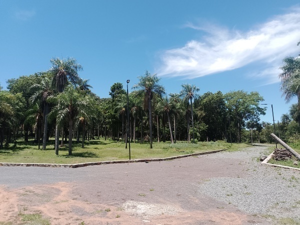 TERRENO EN ALTURA Y CON VISTA AL LAGO, EN CONDOMINIO LA SIERRA ! — foto 2