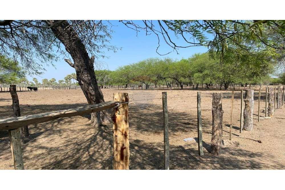 VENDO ESTANCIA FORTIN CABALLERO PTE HAYES — foto 2