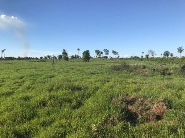 Campo en venta en Villa Hayes — foto 2